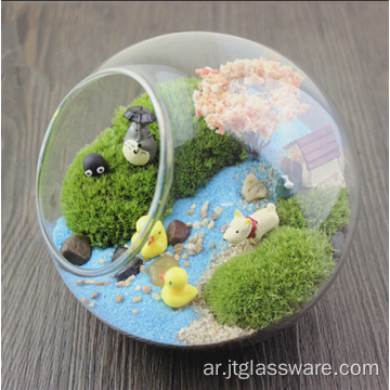 شنقا الزجاج الكرة الكرة الأرضية النبات تررم الزجاج
